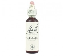 Bach Clematis / Clematilde 20 ml