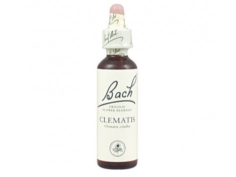 Bach Clematis / Clematilde 20 ml