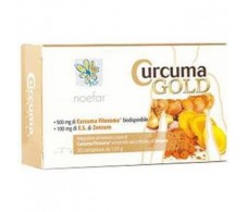 CURCUMA GOLD 30cap. NOEFAR. TURMERIC GOLD