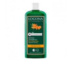 LOGONA Sanddorn-Reparatur-Shampoo 250 ml.