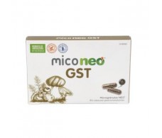 NEO MICO NEO GST 60cap.