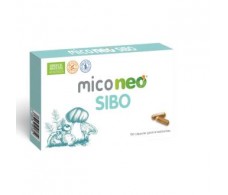 NEO MICO NEO SIBO 60cap.