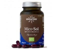 HIFAS DA TERRA MICO SOL (champiñon del sol) HDT 70cap.