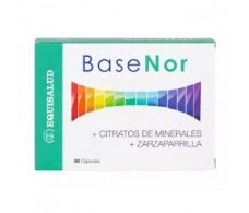 Basenor 60 capsules - Internature