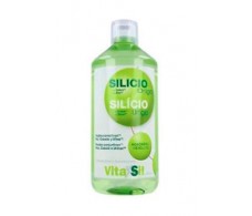 Vitasil Silicium Bio-activated (NUEVA FÓRMULA) 500ml.
