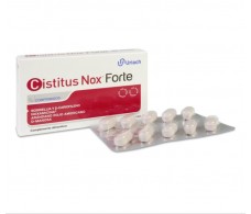 Cistitus Nox Forte – 20 comprimidos