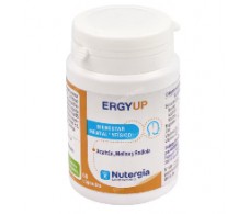 NUTERGIA ERGYUP 60 cápsulas