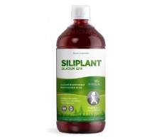 Silicium G7 Siliplant –1 litro