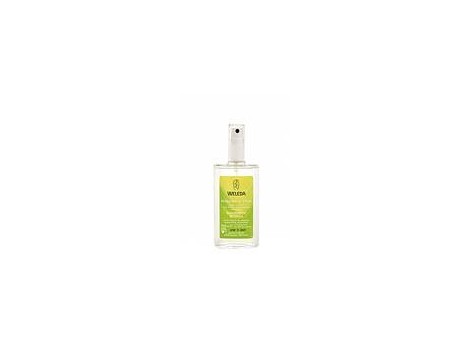 Weleda Citrus Desodorante 100ml 