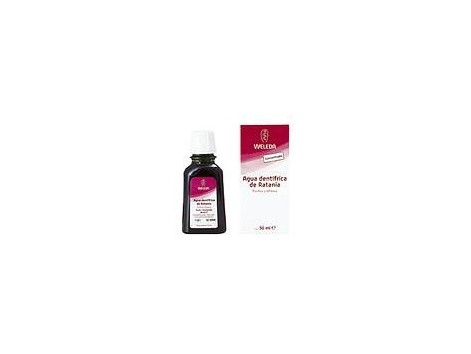 Weleda Creme dental Ratania 50 ml de água 