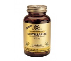Solgar Scutellaria 520 mg  50 Kapseln