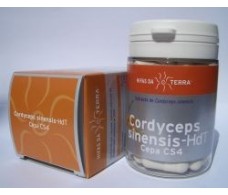 Cordyceps (Cordyceps sinensis). 62 capsules