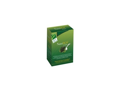 NutriSGS Broccoli Concentrate 30 capsules. 100% Natural NutriSGS Broccoli Concentrate 30 capsules. 100% Natural