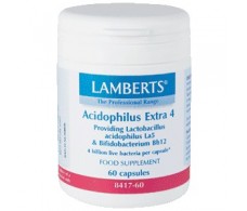 Lamberts Acidophilus Extra 4  60 capsules. Lamberts