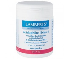 Lamberts Acidophilus Extra 4  60 Kapseln. Lamberts