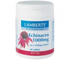 Lamberts Echinacea 1000mg. 60 capsulas. Lamberts