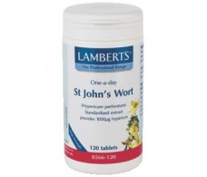 Lamberts St. Johns Wort One-A-Day 120 Tabletten