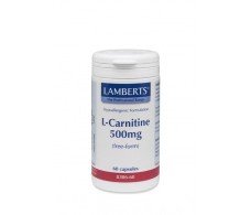 Lamberts L-Carnitine 500mg. 60 capsules