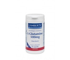 Lamberts L-Glutamine 500mg. 90 capsules