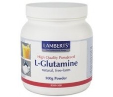 Lamberts L Glutamina en polvo 500gr. Lamberts