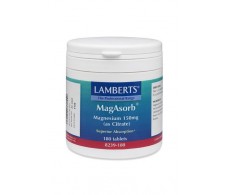 Lamberts Magasorb - Magnesium as Citrate. 180 tablets