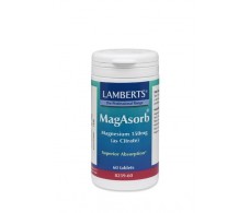 Lamberts Magasorb - Magnesium as Citrate. 60 tablets