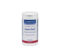 Lamberts Maxi-Hair 60 tabletten