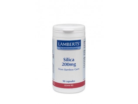 Lamberts Silica 200mg. 90 Kapseln