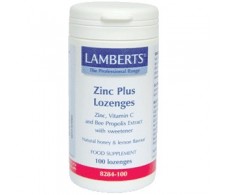 Lamberts Zinc Plus 100 comprimidos masticables. Lamberts