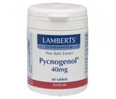 Lamberts Pycnogenol 40mg. 60 capsules