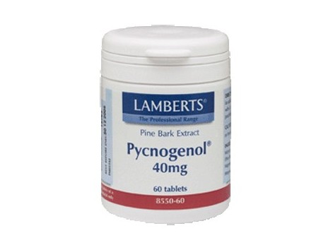 Lamberts Pycnogenol 40mg. 60 capsules