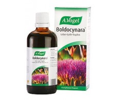 A. Vogel Boldocynara 100 ml