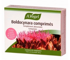 A. Vogel Boldocynara 60 comprimidos
