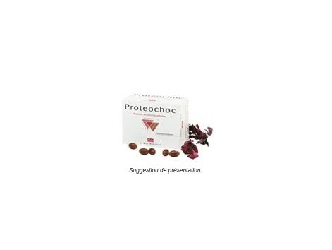 Pileje Proteochoc 36 capsules. Pileje