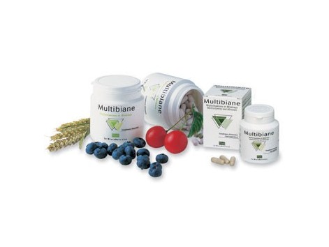 Pileje Multibiane 120 capsules. Pileje