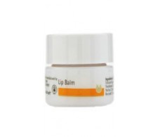 Dr. Hauschka Crema Labial antiarrugas en tarrina de 4,5ml.