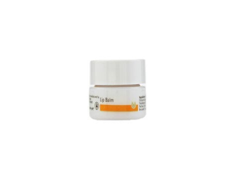 Dr. Hauschka Crema Labial antiarrugas en tarrina de 4,5ml.