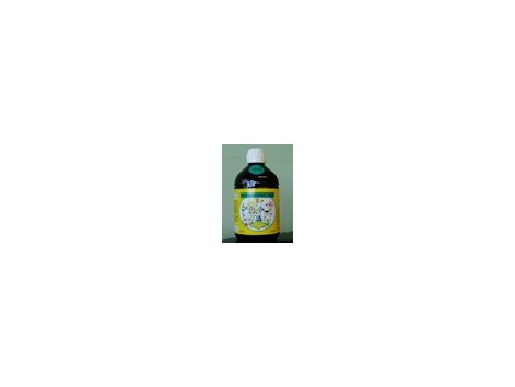 Biolasi Bio Sant Joseph D / E ocular 365ml.