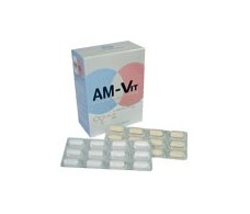 Praxis Am-Vit  96 + 24 comprimidos
