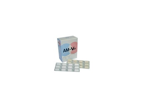 Praxis Am-Vit  96 + 24 comprimidos