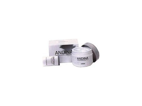 Andina cream 100ml hair bleaching