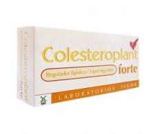 Tegor Colesteroplant Forte 60 capsulas