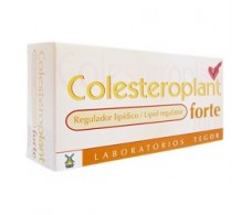 Tegor Colesteroplant Forte 60 Kapseln