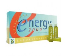 Tegor Jalea Real Energy 2000. 20 ampollas