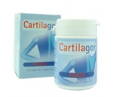 Tegor Cartilagor Forte 40 capsulas