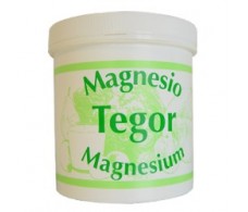 Tegor Magnesium powder 200g.