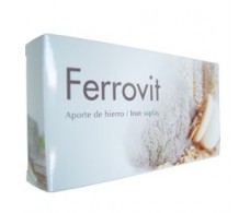 Tegor Ferrovit 30 comprimidos