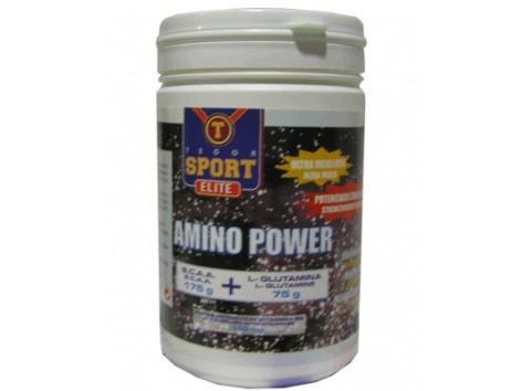 Tegor Amino Power 250gr.