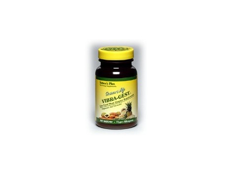 Nature's Plus 90 Vegicaps Vibra-Gest. Digestive Aid. Natures P