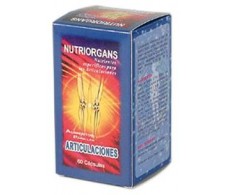 Tongil Nutriorgans Articulaciones 60 capsules